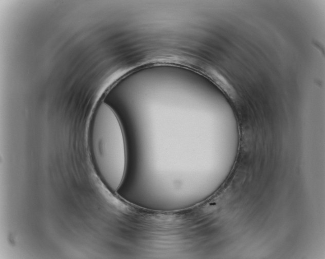 X0000096161036200801180847