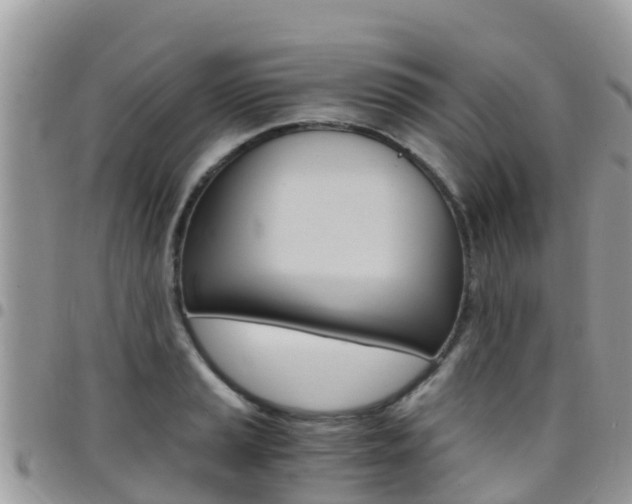 X0000096161037200801180847
