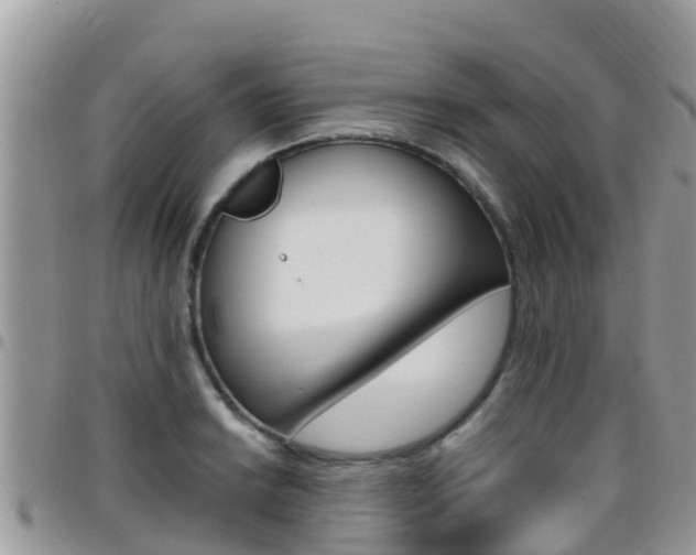 X0000096161038200801180847