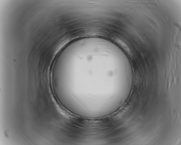 X0000096161039200801180847