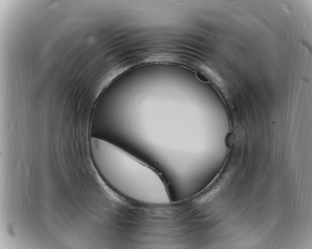 X0000096161041200801180847