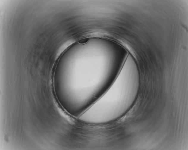 X0000096161042200801180847