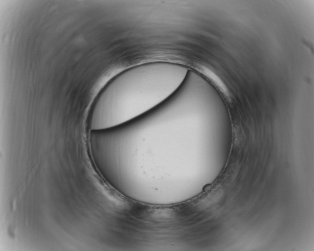 X0000096161043200801180847
