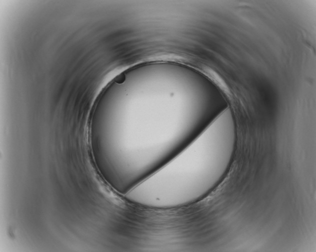 X0000096161044200801180847