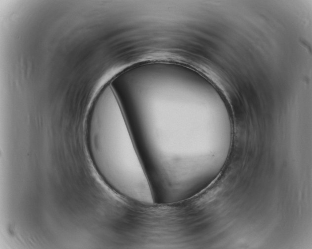 X0000096161045200801180847