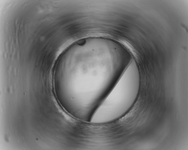 X0000096161046200801180847