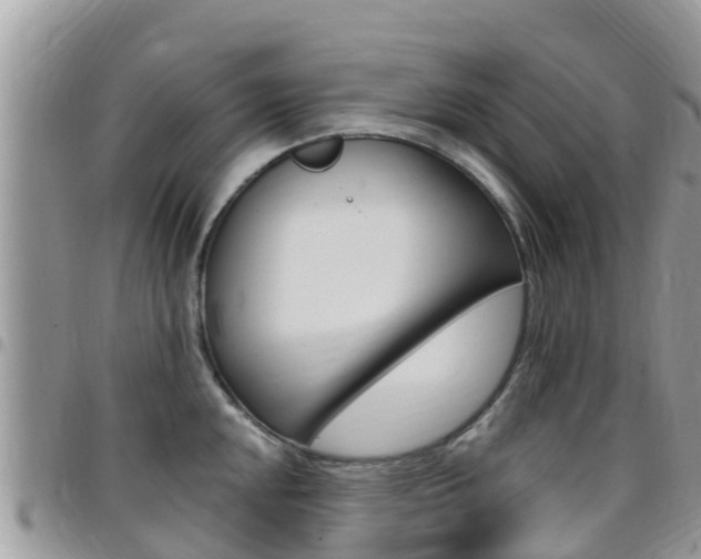 X0000096161048200801180847