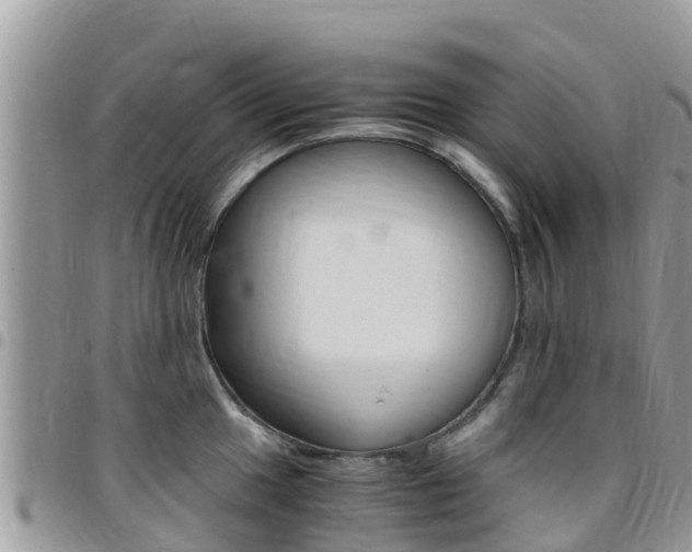 X0000096161049200801180847