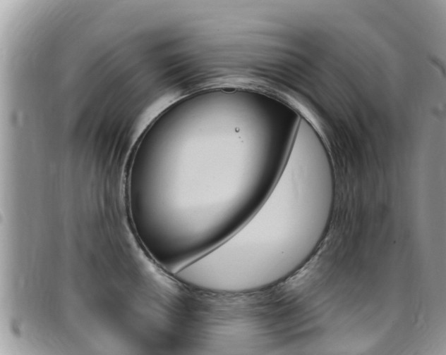 X0000096161050200801180847