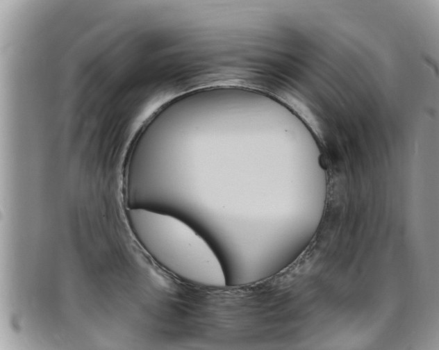 X0000096161051200801180847