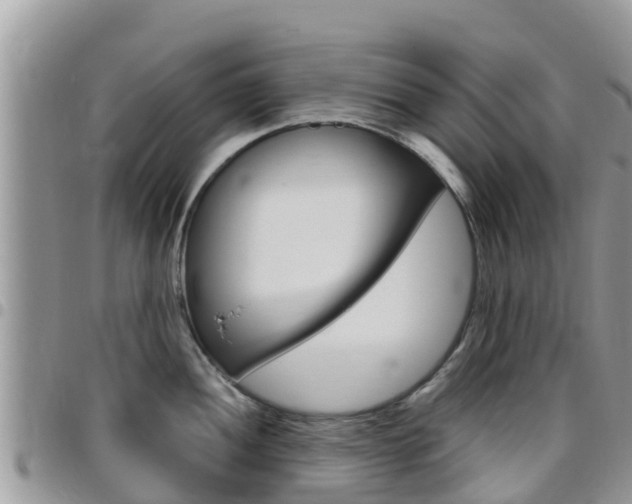 X0000096161052200801180847