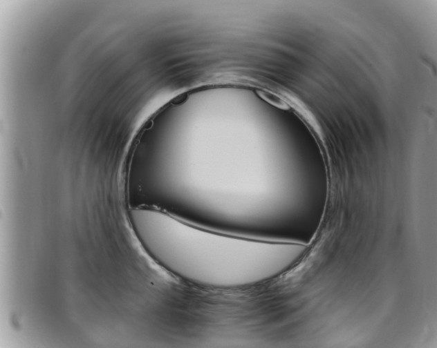 X0000096161053200801180847
