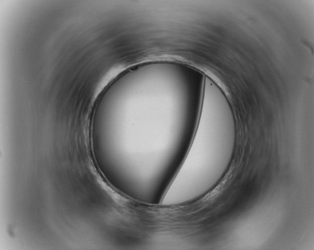 X0000096161054200801180847