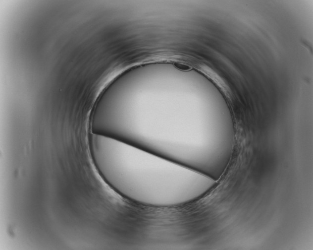 X0000096161055200801180847