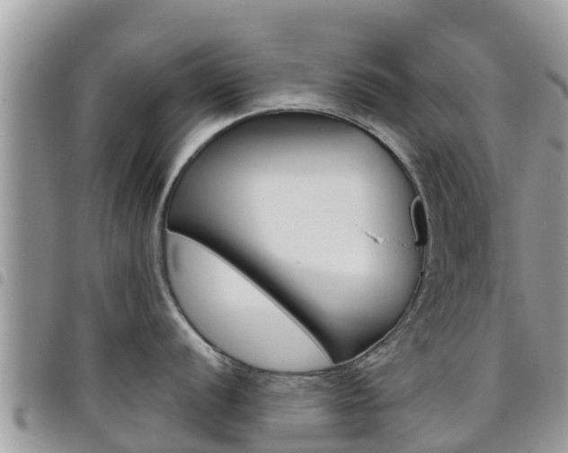 X0000096161056200801180847