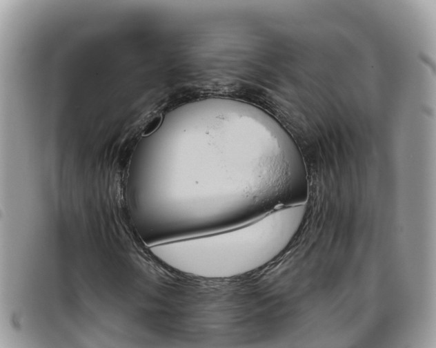 X0000096161058200801180846