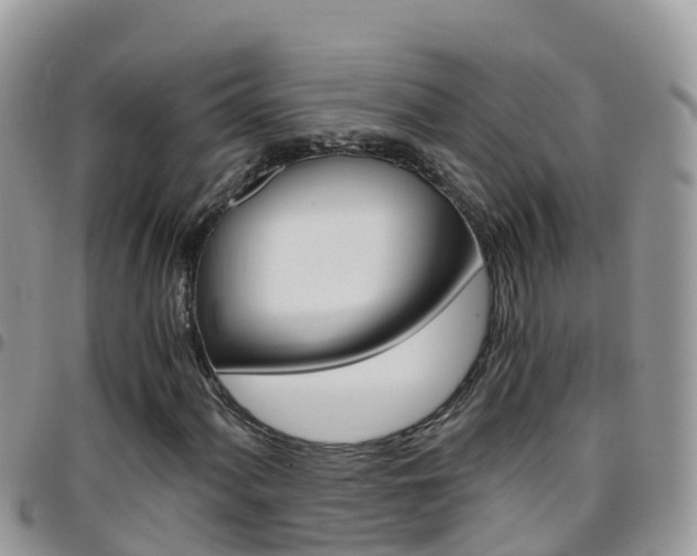 X0000096161060200801180846