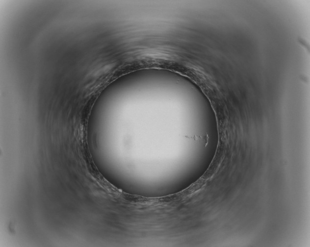 X0000096161061200801180846