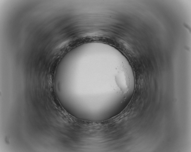 X0000096161062200801180846