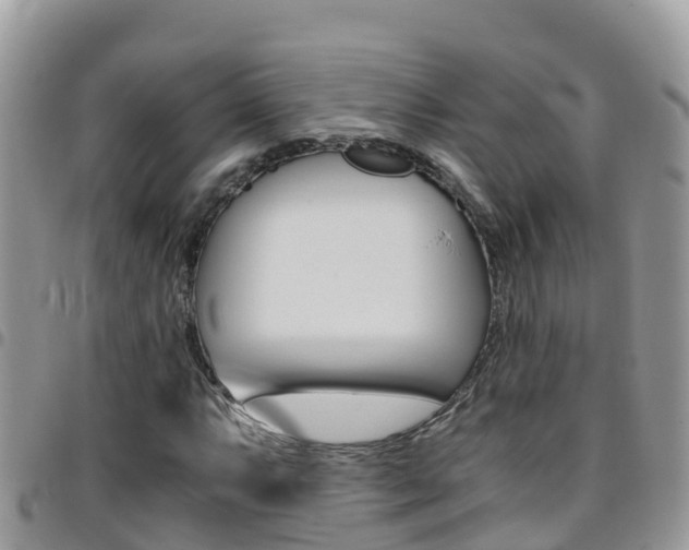 X0000096161063200801180846