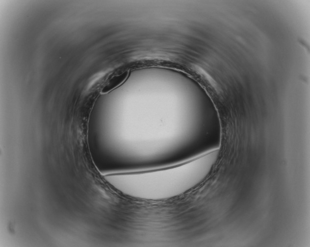 X0000096161064200801180846