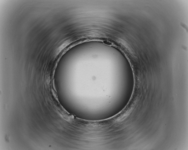 X0000096161065200801180846