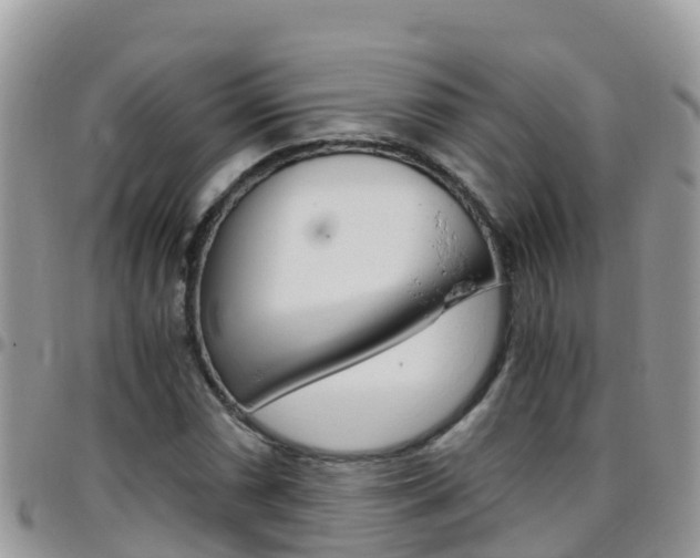 X0000096161066200801180846