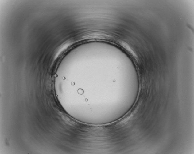 X0000096161067200801180846
