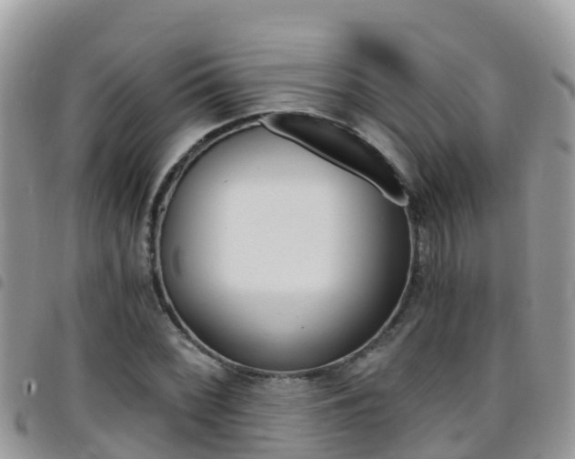X0000096161068200801180846