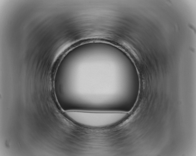 X0000096161069200801180846