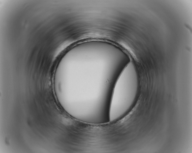 X0000096161070200801180846
