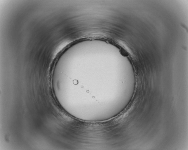 X0000096161071200801180846