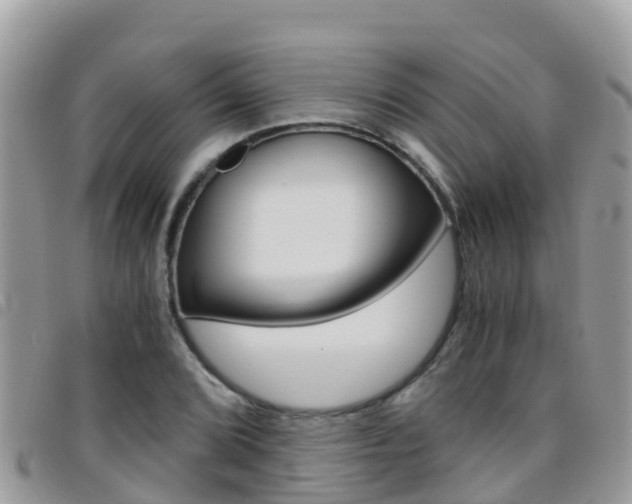 X0000096161072200801180846