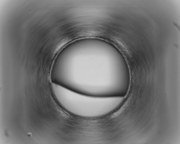 X0000096161073200801180846