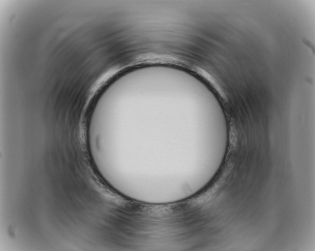 X0000096161074200801180846
