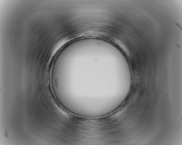 X0000096161075200801180846