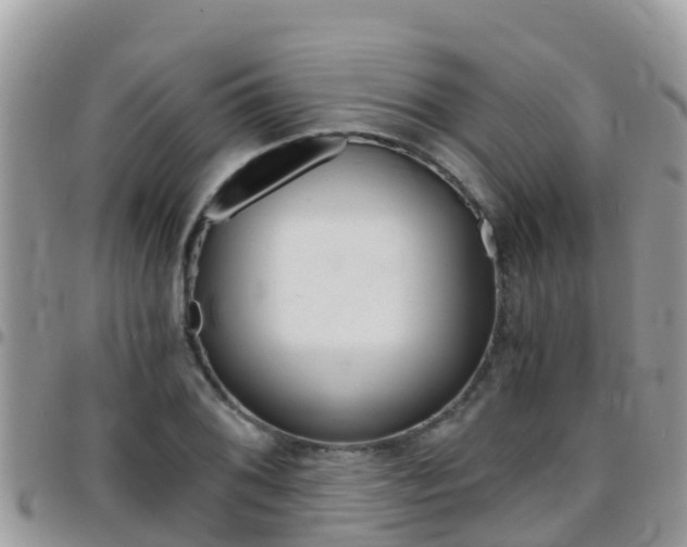 X0000096161076200801180846