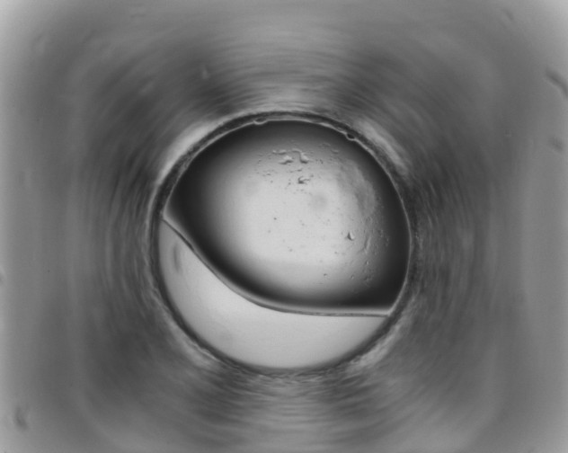 X0000096161077200801180846