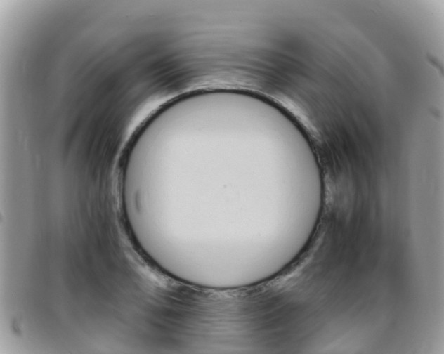 X0000096161078200801180846