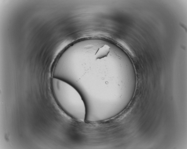 X0000096161079200801180846