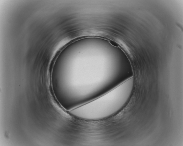 X0000096161080200801180846