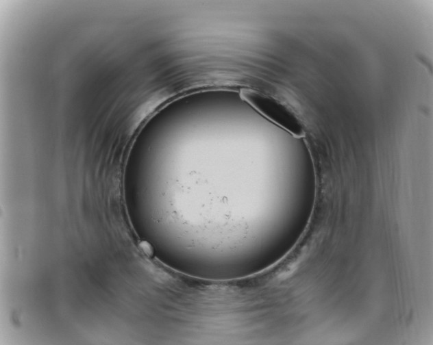 X0000096161081200801180846
