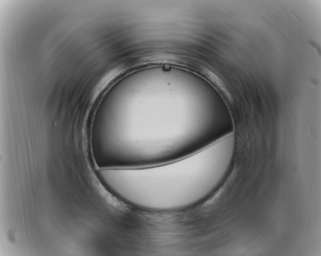 X0000096161082200801180846