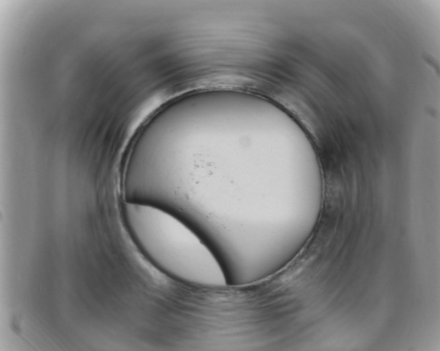 X0000096161083200801180846