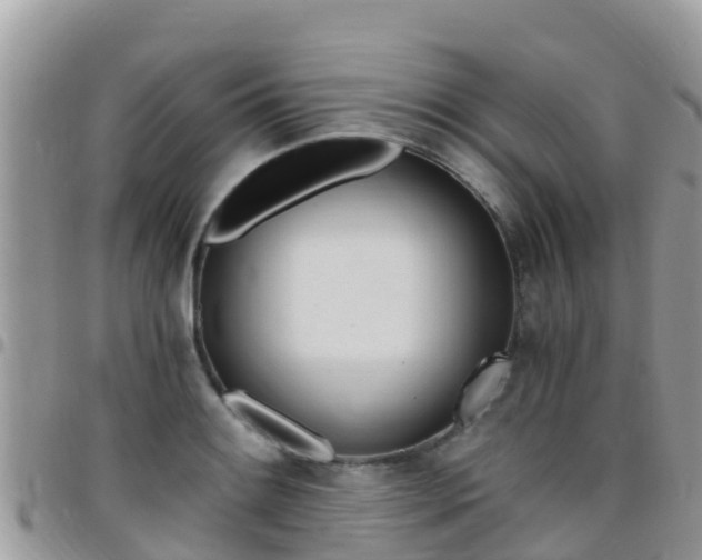X0000096161084200801180846