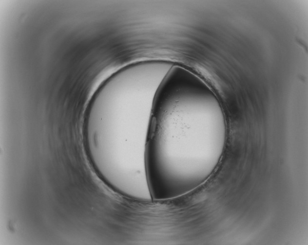 X0000096161085200801180846