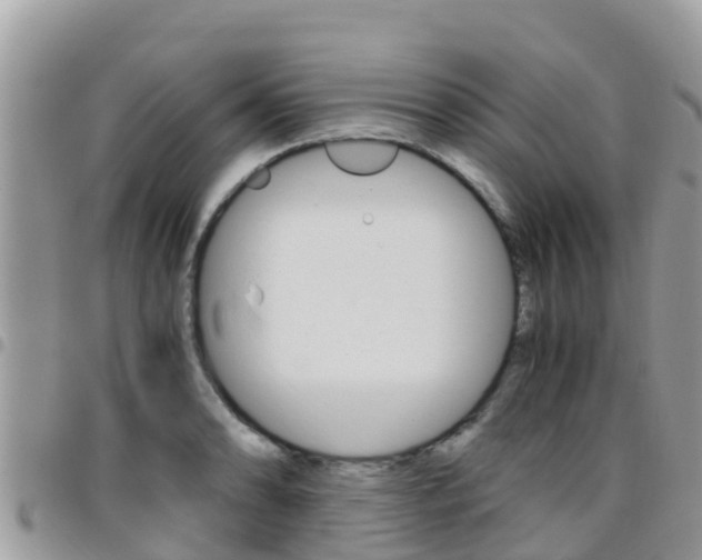 X0000096161086200801180846