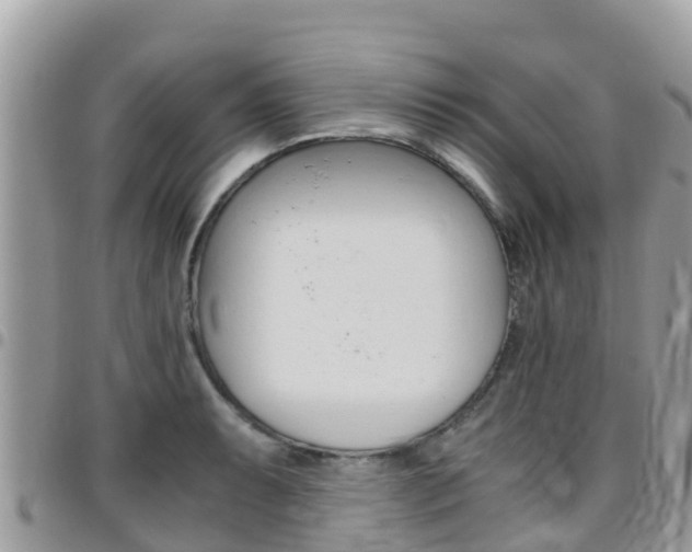 X0000096161087200801180846