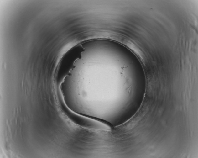 X0000096161088200801180846