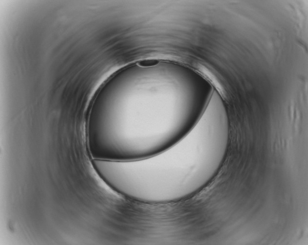 X0000096161092200801180846